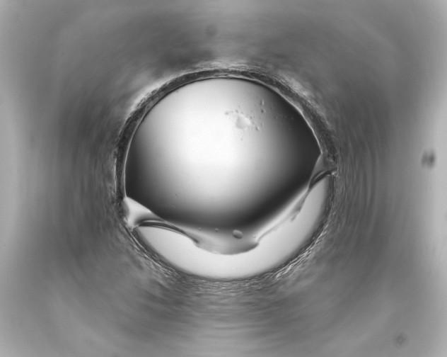 X0000093471214200711021224