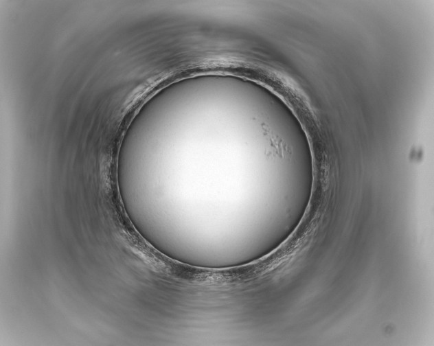 X0000093471217200711021224