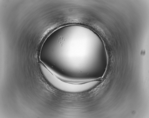 X0000093471218200711021224