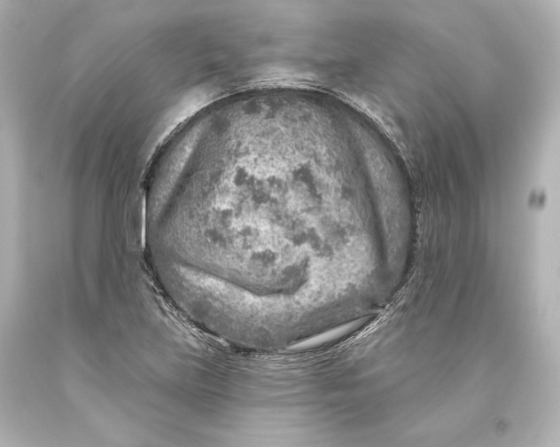 X0000093471219200711021224