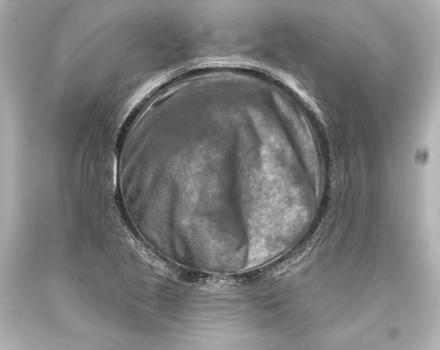 X0000093471221200711021224