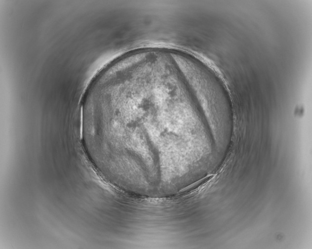 X0000093471223200711021224