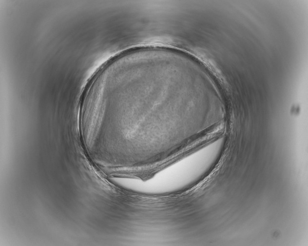 X0000093471224200711021224