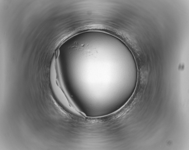 X0000093471225200711021224