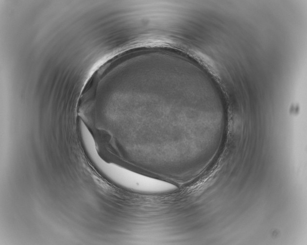 X0000093471226200711021224