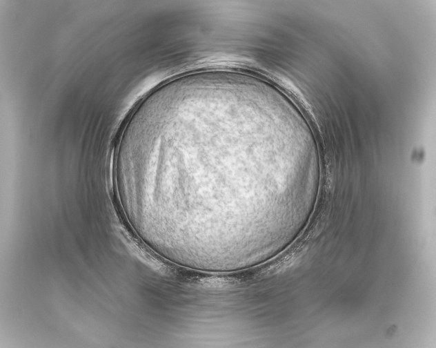 X0000093471227200711021224