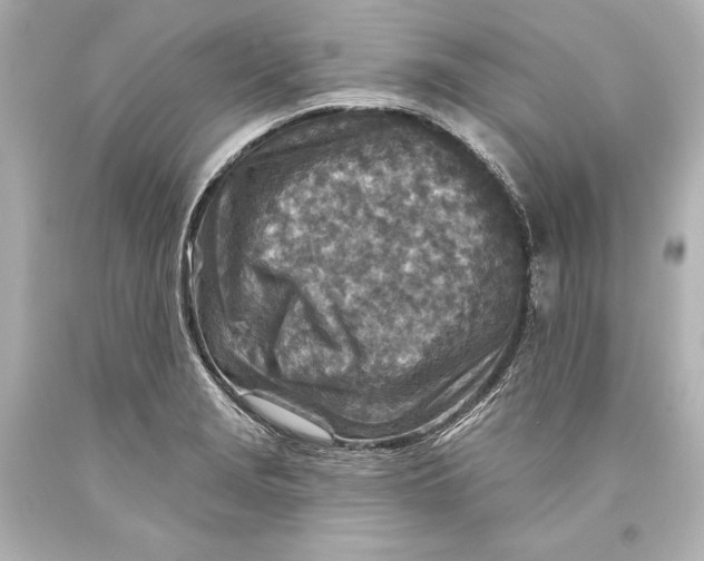 X0000093471229200711021224