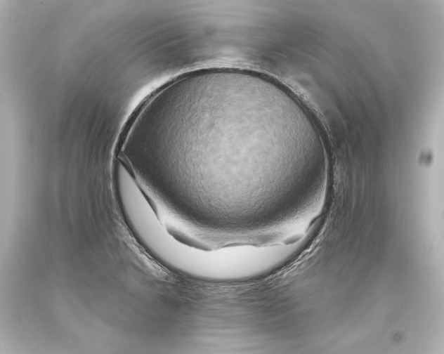 X0000093471230200711021224