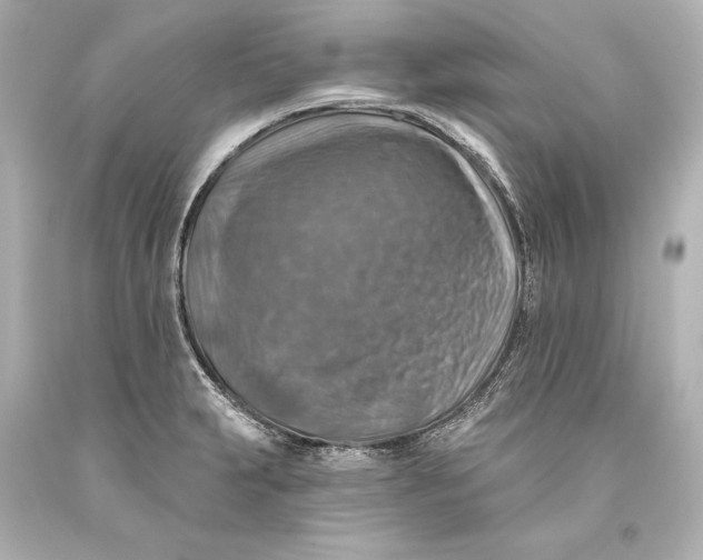 X0000093471231200711021224