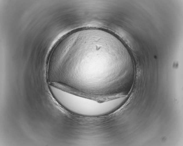 X0000093471232200711021224