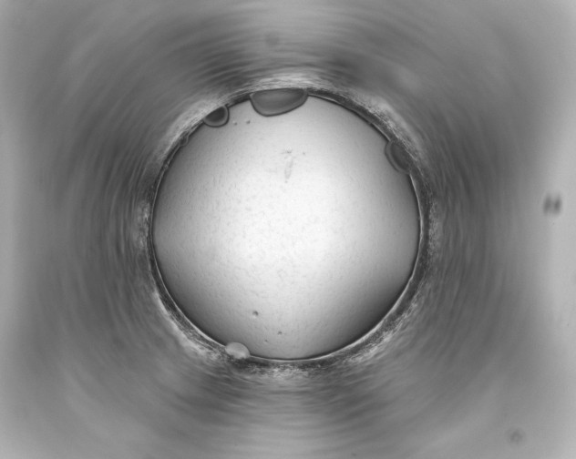 X0000093471233200711021224