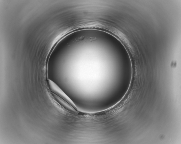 X0000093471234200711021224