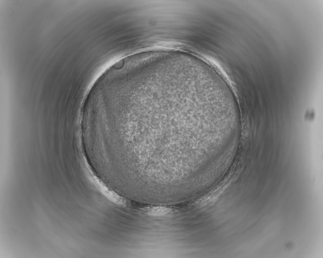 X0000093471235200711021224