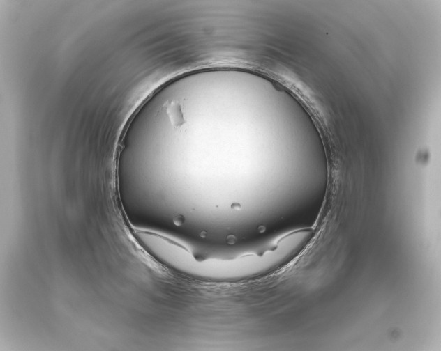 X0000093471236200711021224