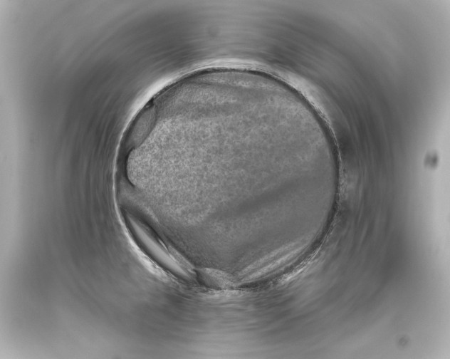 X0000093471237200711021224