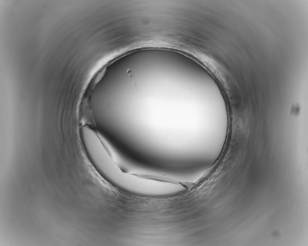 X0000093471238200711021224