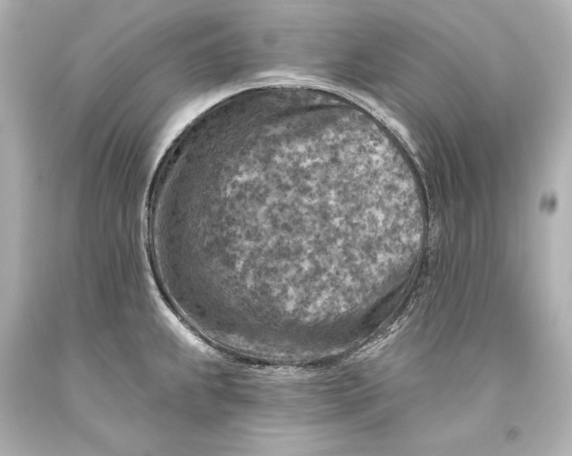 X0000093471239200711021224