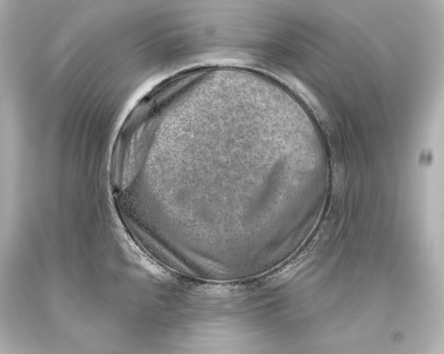 X0000093471240200711021224