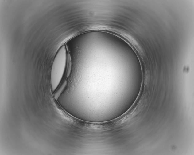 X0000093471241200711021224