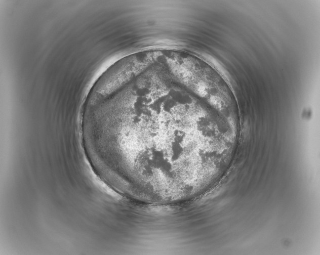 X0000093471243200711021224