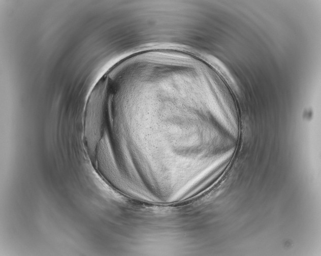 X0000093471244200711021224