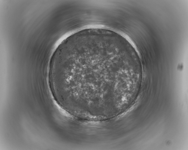 X0000093471245200711021224