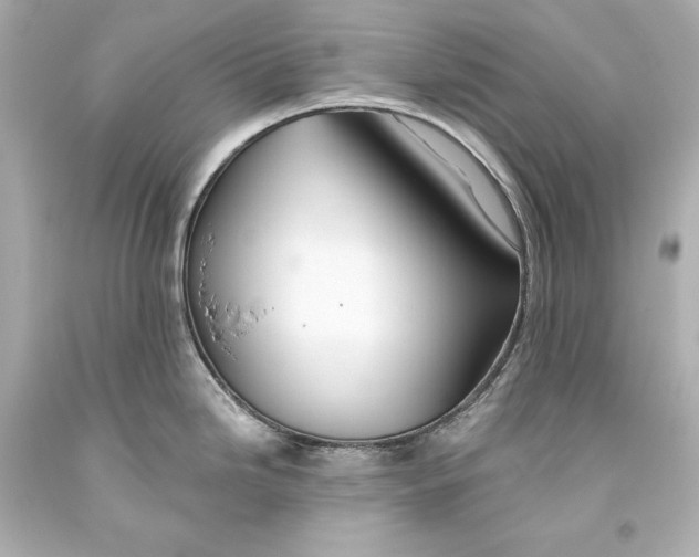 X0000093471246200711021224