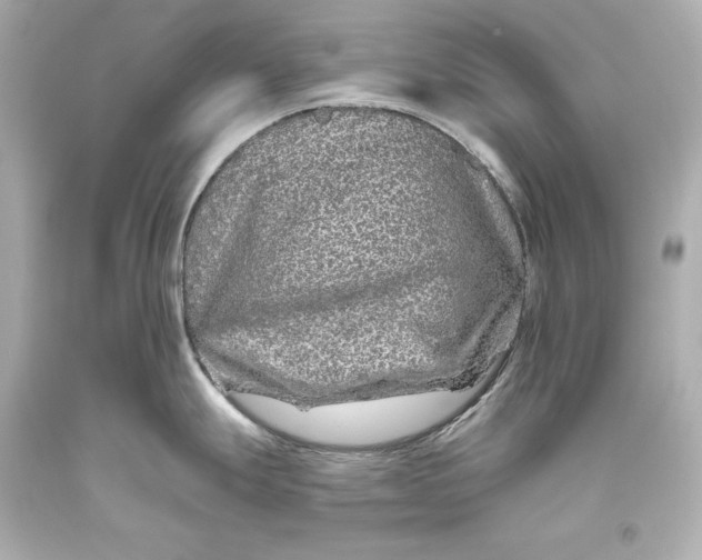 X0000093471247200711021224