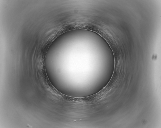 X0000093471250200711021224