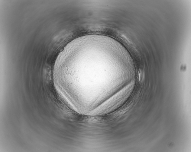 X0000093471251200711021224