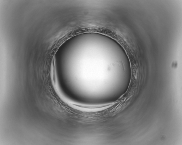 X0000093471253200711021224