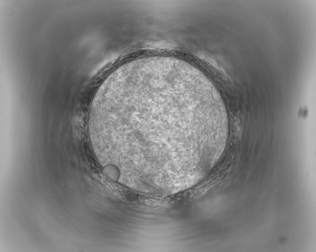 X0000093471254200711021224