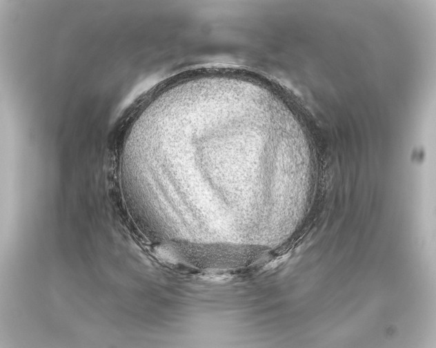 X0000093471255200711021224