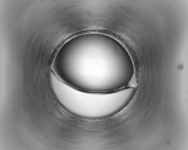 X0000093471257200711021224