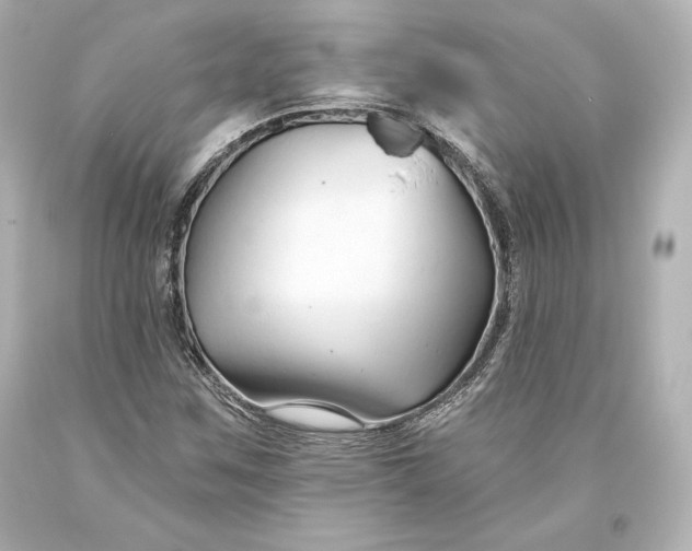 X0000093471259200711021224