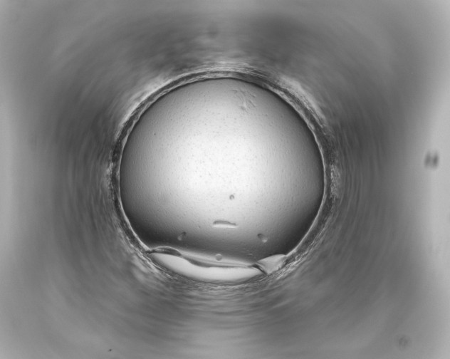 X0000093471260200711021224