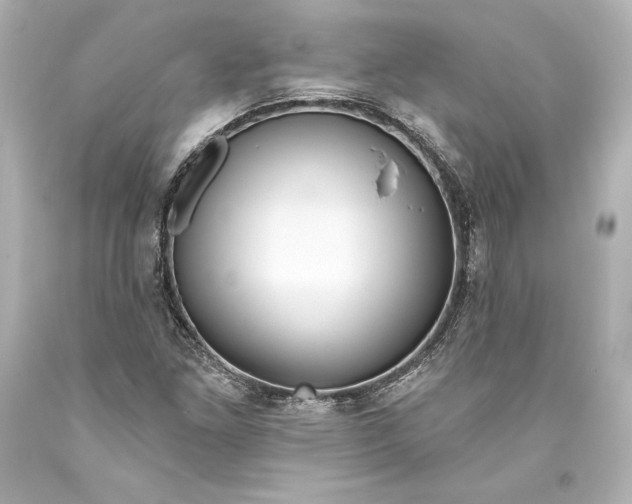 X0000093471261200711021224