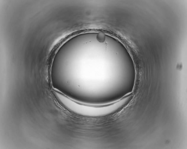 X0000093471262200711021224