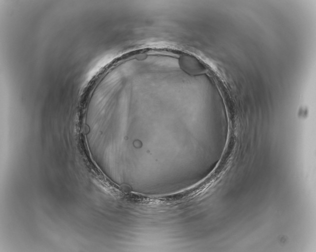 X0000093471263200711021224