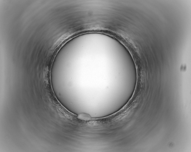 X0000093471265200711021224