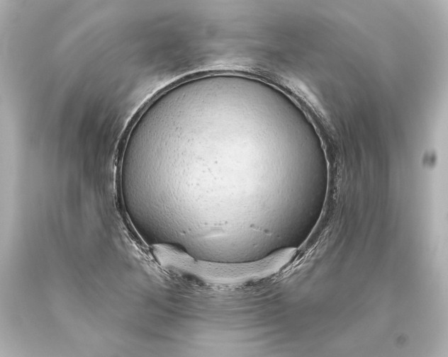 X0000093471268200711021224