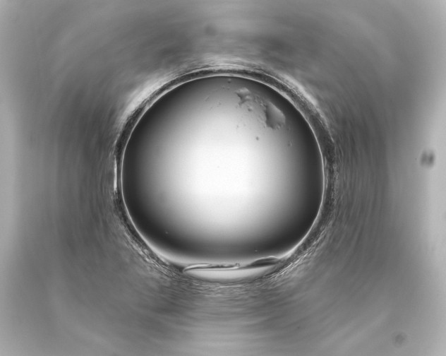 X0000093471269200711021224