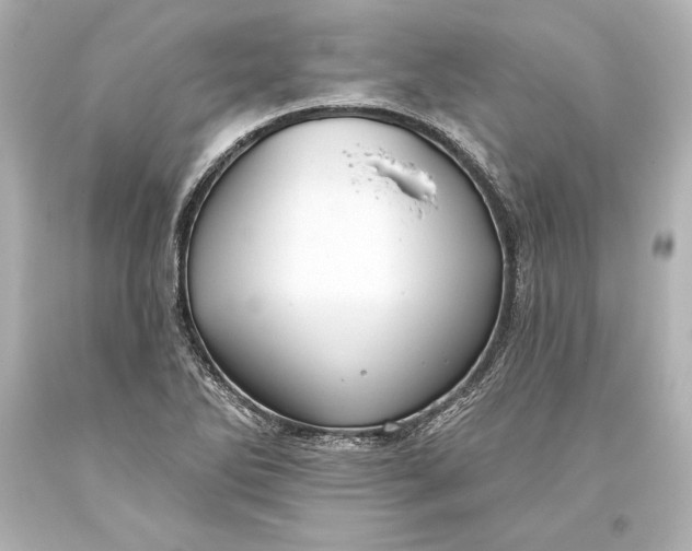 X0000093471270200711021224