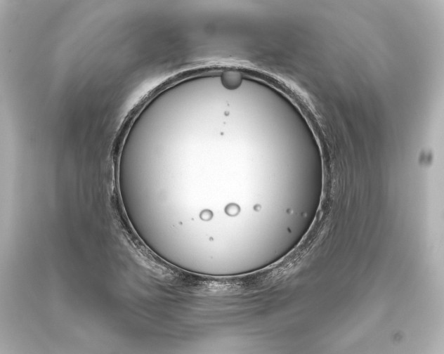 X0000093471271200711021224