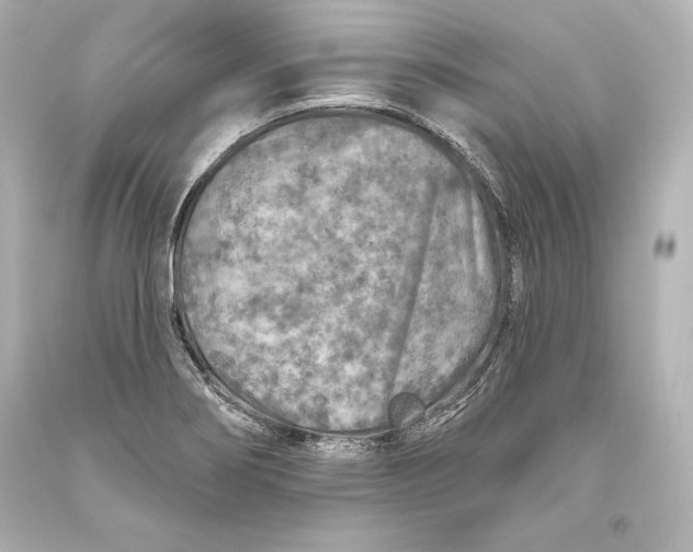 X0000093471274200711021223