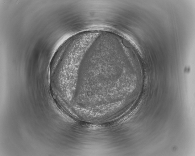 X0000093471275200711021223