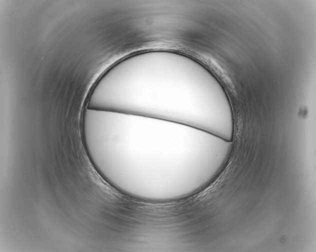 X0000093471276200711021223