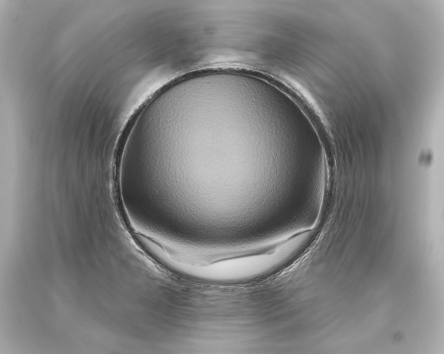 X0000093471277200711021223