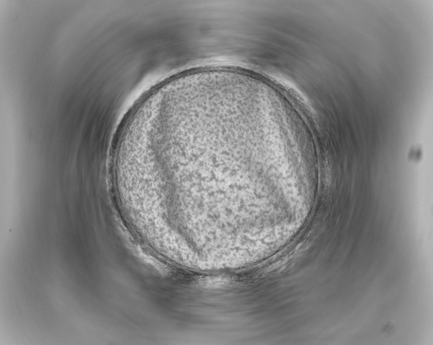 X0000093471278200711021223