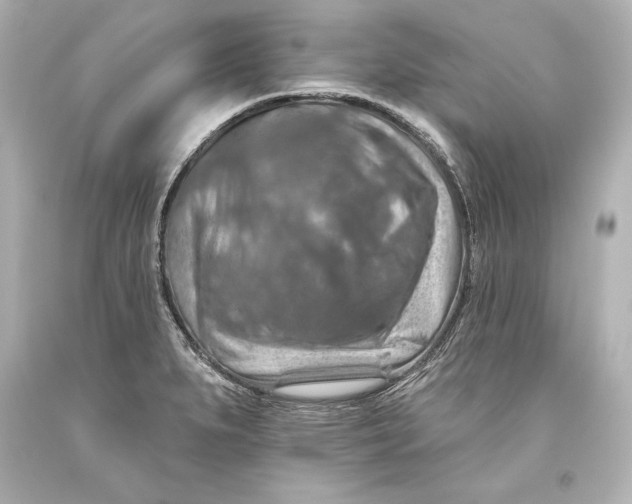 X0000093471279200711021223